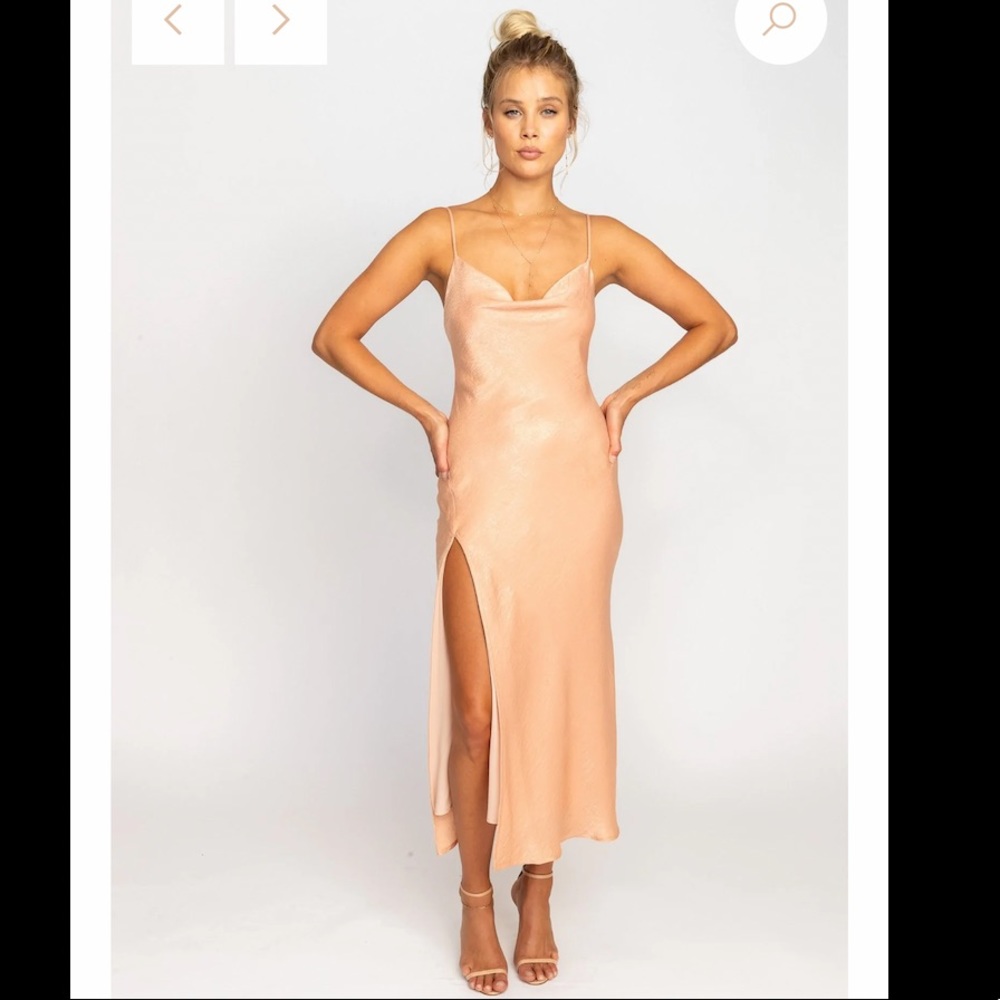 RESA - Madison Slip in Blush (NWT)